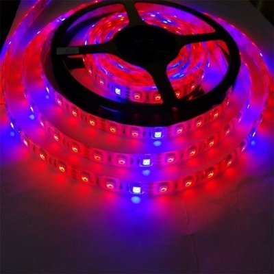 Seed Startlampe Körpermaterial PC Led Wachstumslichtstreifen mit 5050 Dc 12v/24v