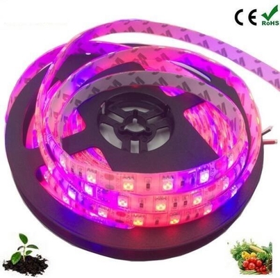 Seed Startlampe Körpermaterial PC Led Wachstumslichtstreifen mit 5050 Dc 12v/24v